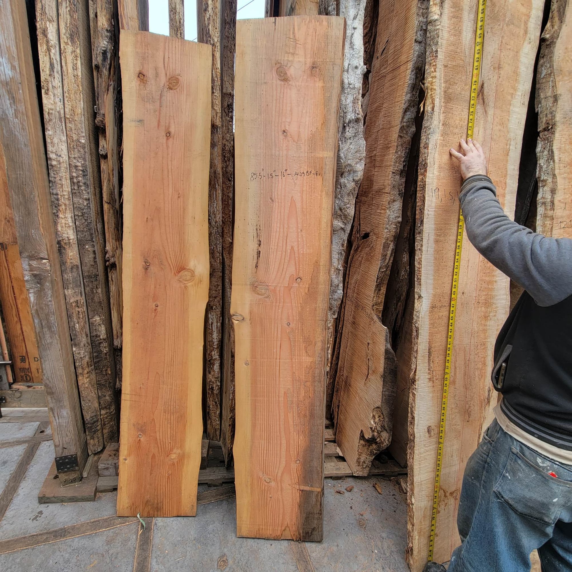 Douglas Fir